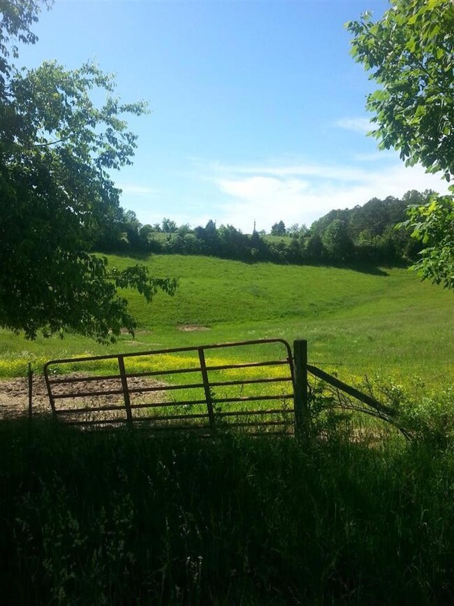 100 Denton Phelps Rd, Somerset, KY 42501 - photo 3