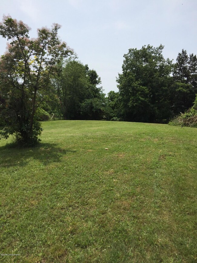 325 Sunshine Camp Rd, Shepherdsville, KY 40165 - photo 6