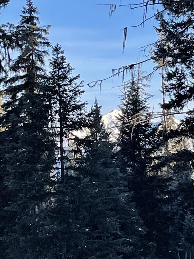 934 Montana Dr, Seeley Lake, MT 59868 - photo 7