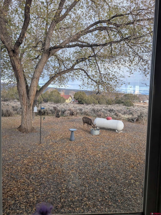 26253 Cedar Mesa Rd, Cedaredge, CO 81413 - photo 5