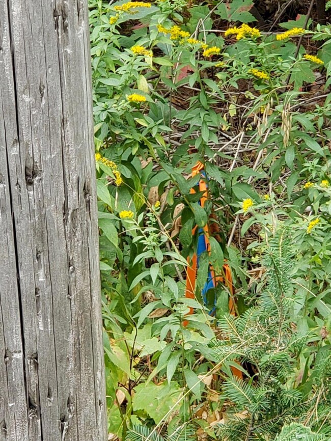 M20 L26C&D Four Mile Square Rd, Anson, ME 04911 - photo 5