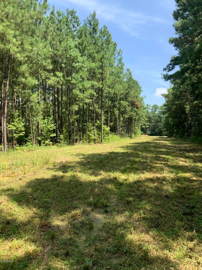 Tbd Redich (14 36) Rd, Eunice, LA 70535 - photo 5