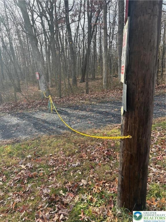 1433 Deer Path Dr, Walnutport, PA 18088 - photo 3