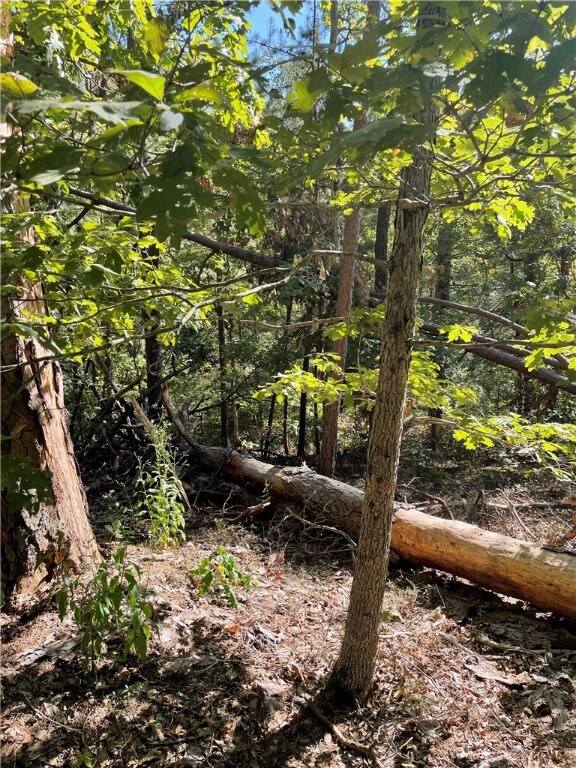 0 Hawnby Ln unit 1233701, Bella Vista, AR 72715 - photo 4