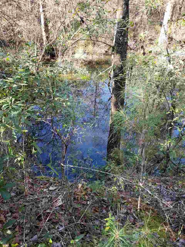 0 Decey Wallace Ln unit 301709, Crawfordville, FL 32327 - photo 6