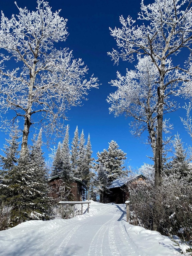 28 S Caps Trail, Lutsen, MN 55612 - photo 4