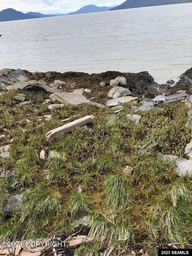 L13 E Channel Legal Address Only, Wrangell, AK 99929 - photo 4