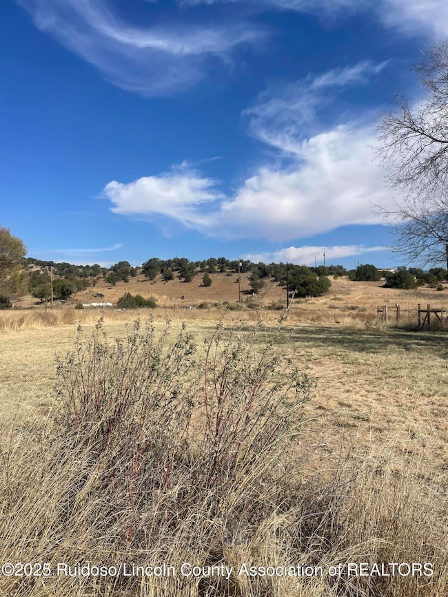 109 Salado Rd, Capitan, NM 88316 - photo 4
