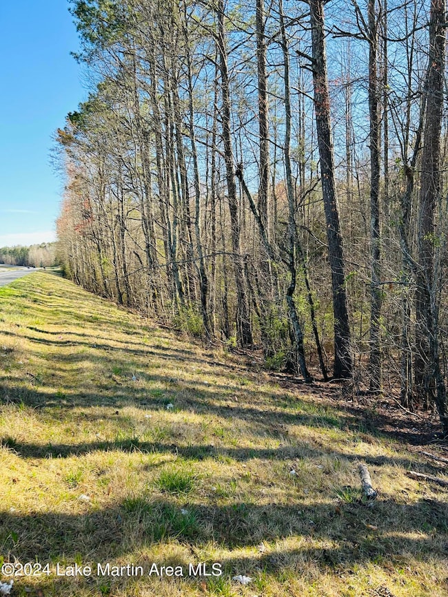 2.64+/- Acres Hwy 280, Sylacauga, AL 35150 - photo 3