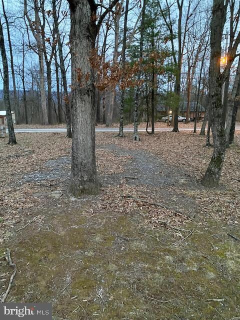 0 Breedens Addition Ln, Berkeley Springs, WV 25411 - photo 4
