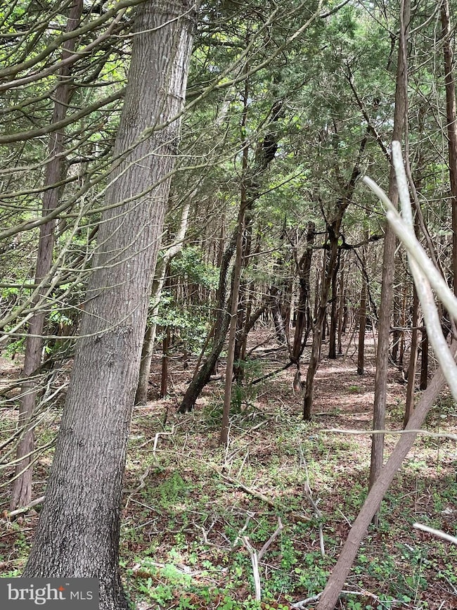 0 E Main St unit NJOC2025964, Tuckerton, NJ 08087 - photo 6