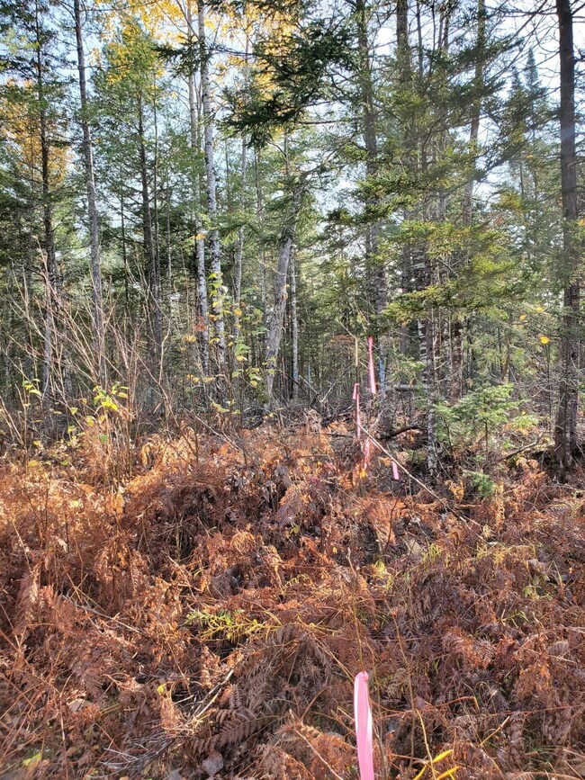 20201019_094634