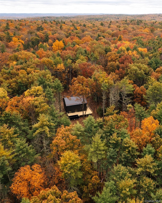 210 Dutchtown Rd, Saugerties, NY 12477 - photo 2