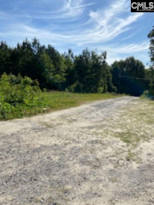 5314 Highway 321, Gaston, SC 29053 - photo 2