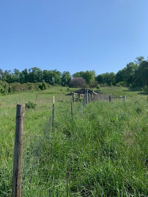 447 Tampico Rd, Rutledge, TN 37861 - photo 5