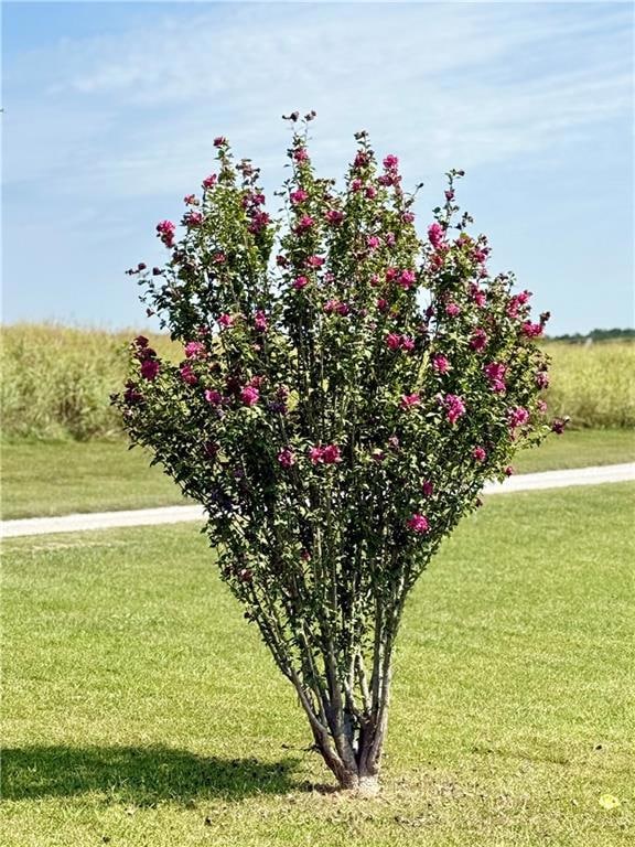 41759 W 88th St, Richmond, MO 64085 - photo 7