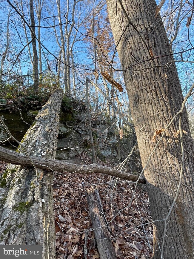 0 Madrid Ln unit VAST2015862, Stafford, VA 22554 - photo 3