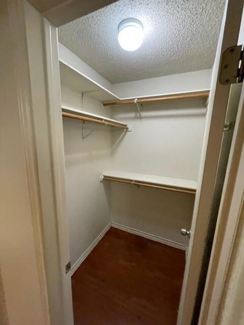 Spacious closet with wood finished floors