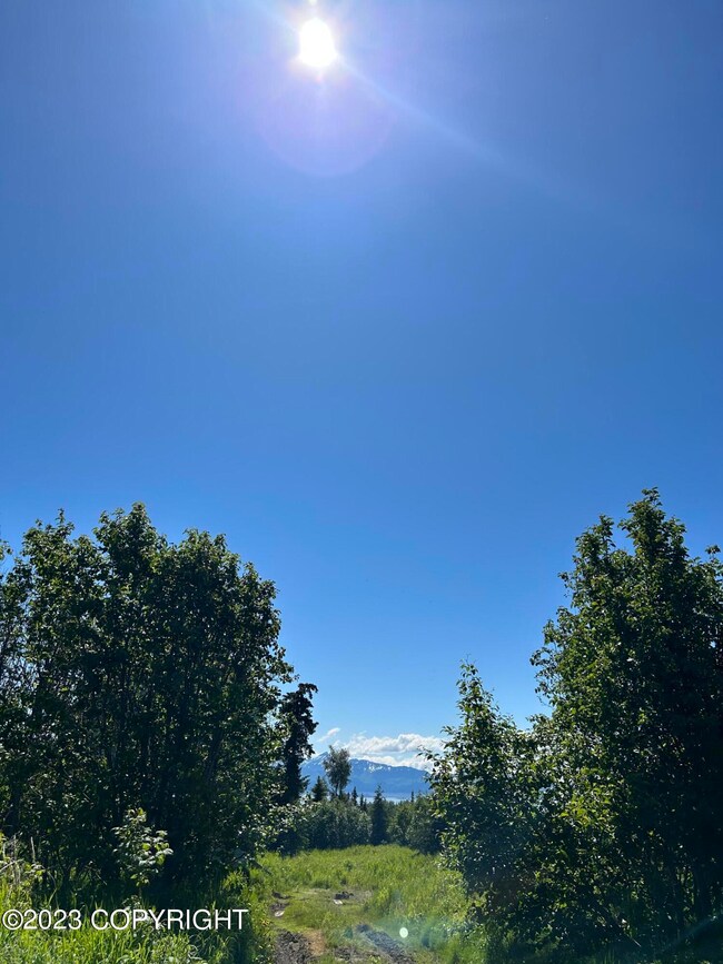 Example of the View from neighbor's lot