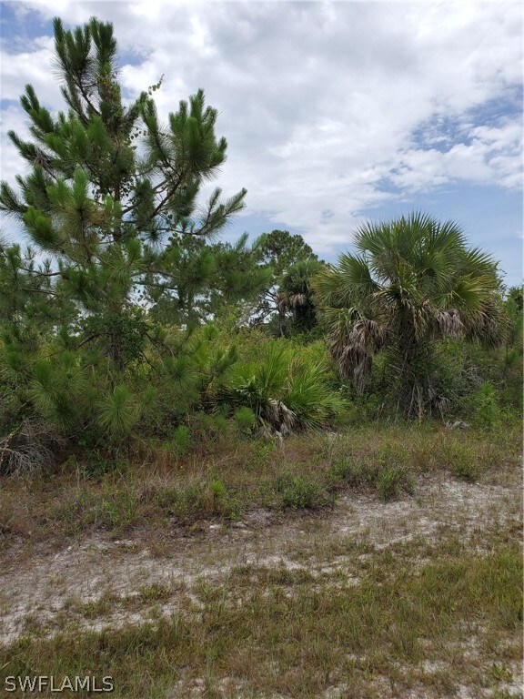 3313 51st St W, Lehigh Acres, FL 33971 - photo 5