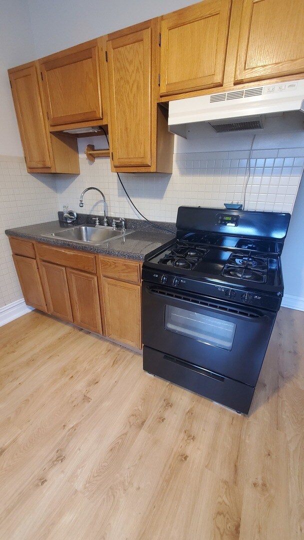 1048 N Leavitt St unit 2, Chicago, IL 60622 - photo 2