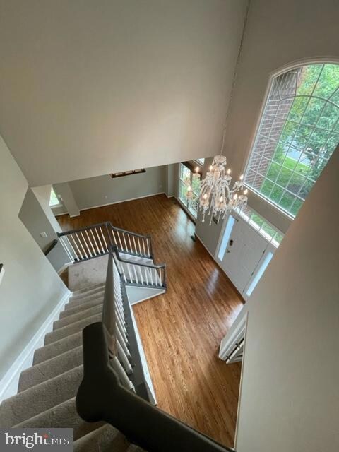 12503 Degas Ct, North Potomac, MD 20878 - photo 6
