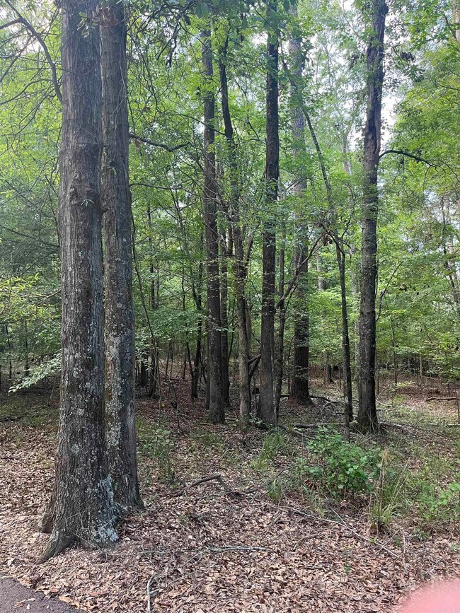 0 Pt Section 15 T17s-R15w unit 25031620, El Dorado, AR 71730 - photo 5