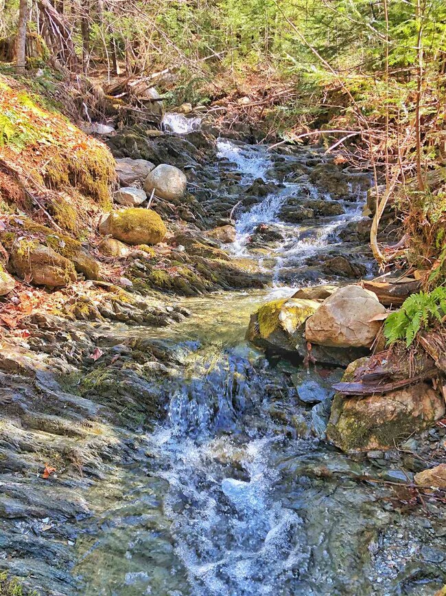 The brook divides the land roughly 60/40.
