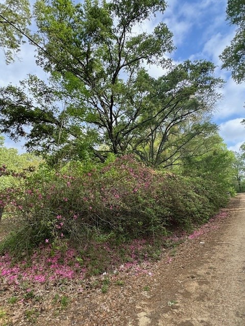 2 Lost Creek Rd, Natchez, MS 39120 - photo 3