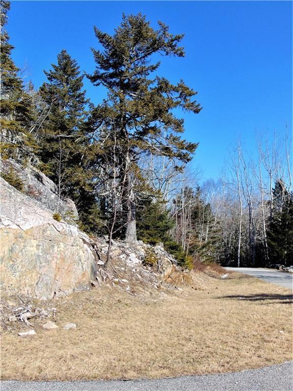 This is looking back toward Rays Pt...