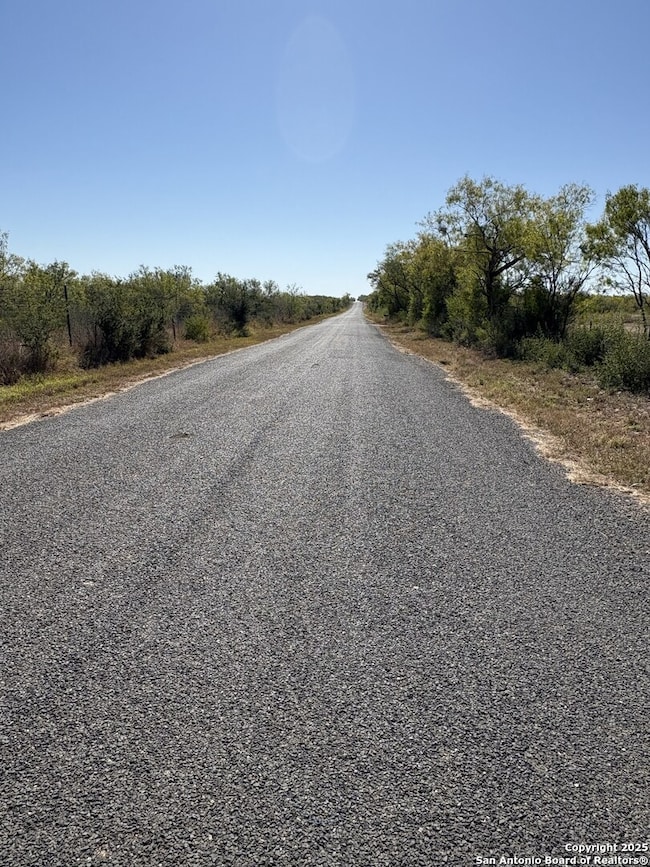 1446 County Road 332, Charlotte, TX 78011 - photo 7