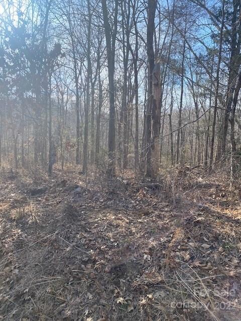 0 Katie Ln unit 48, Statesville, NC 28625 - photo 3