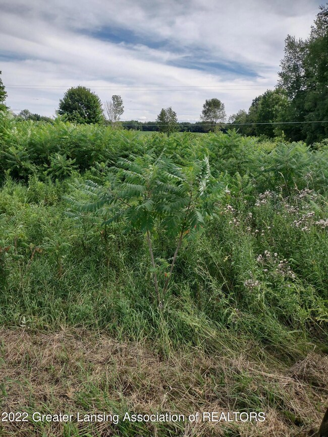 IMG_20220725_174605944_HDR