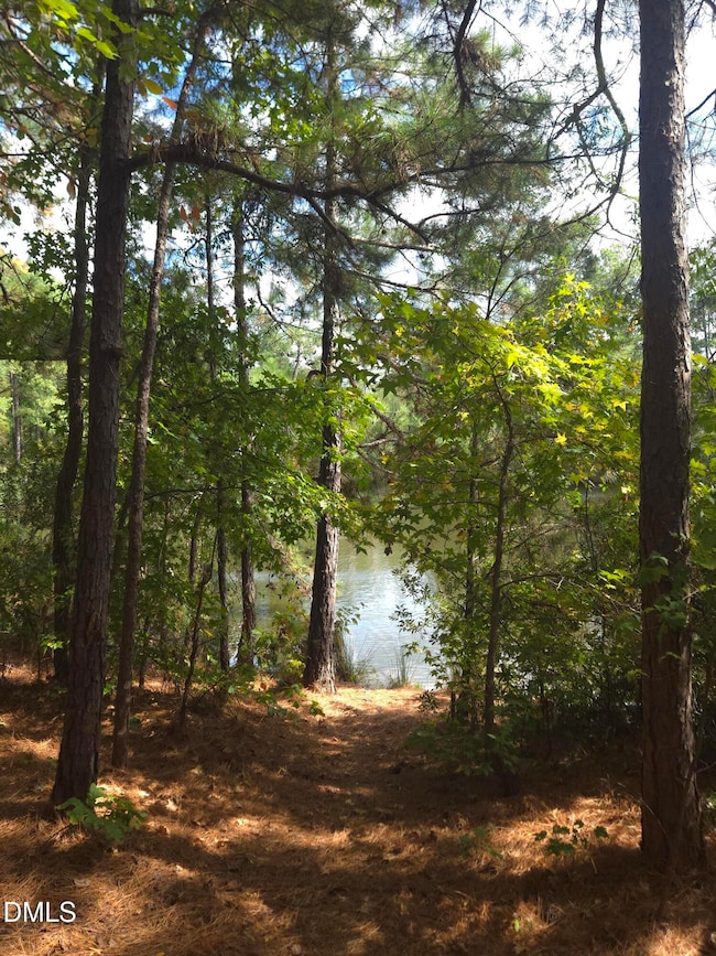 1607 Eagle Lodge Ln, Durham, NC 27703 - photo 2