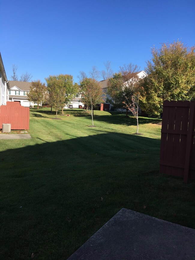 2015-11-15 11.35.34