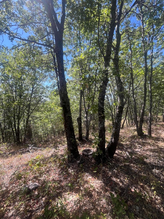 0 Dunn Moody Rd, Round Mountain, CA 96084 - photo 3