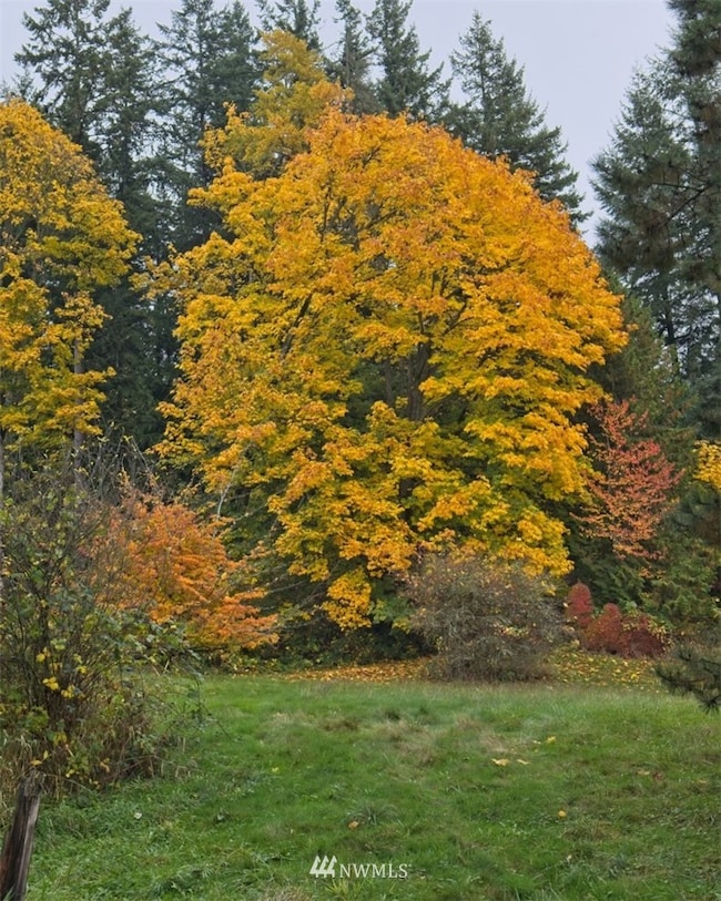 2722 324th St NW, Stanwood, WA 98292 - photo 5