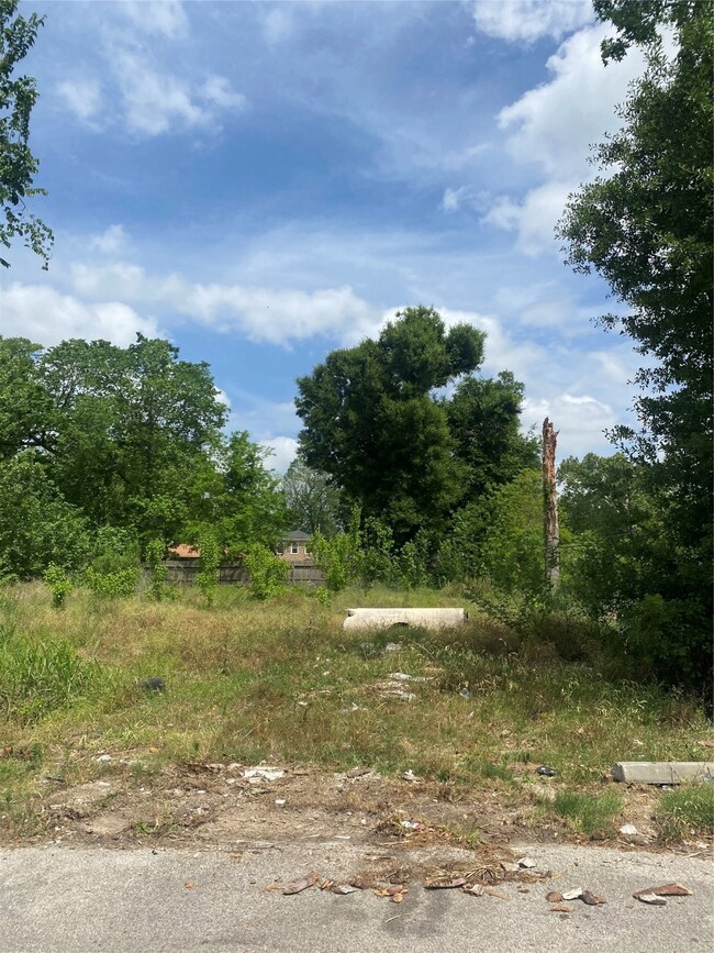 8402 Prairie View Dr, Houston, TX 77088 - photo 6