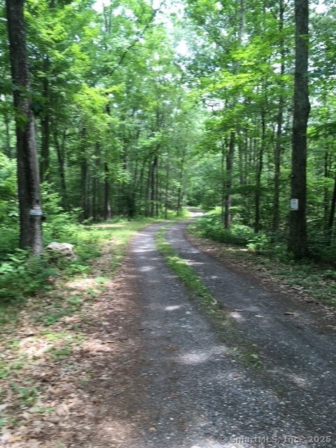 Shared Driveway to Lot 1
