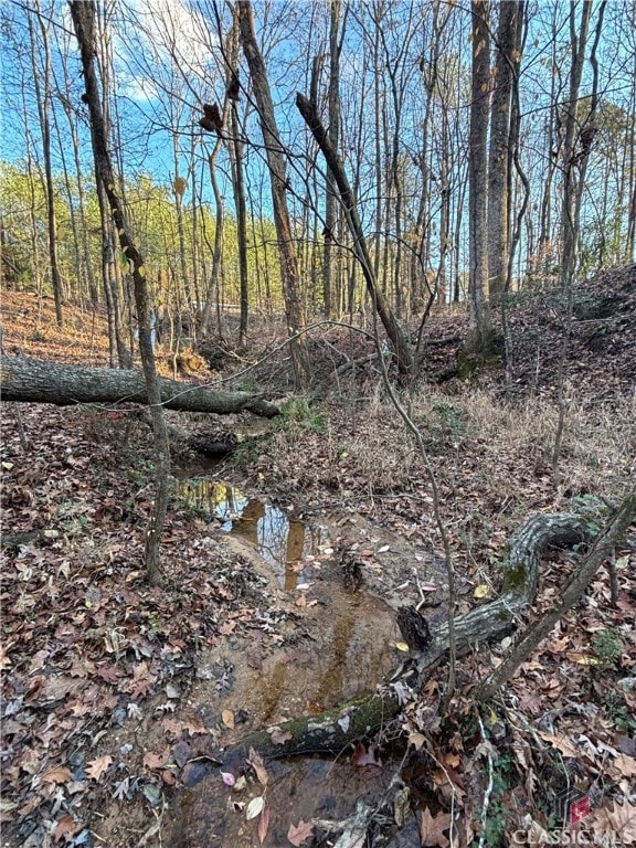 000 Lower River Rd, Covington, GA 30016 - photo 7