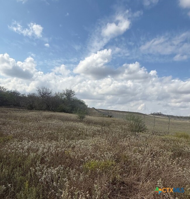 00 Simpson Ranch Rd, Runge, TX 78151 - photo 6