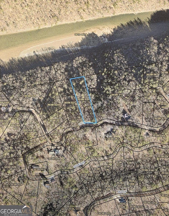 Lt 937 Myna Dr, Ellijay, GA 30540 - photo 4