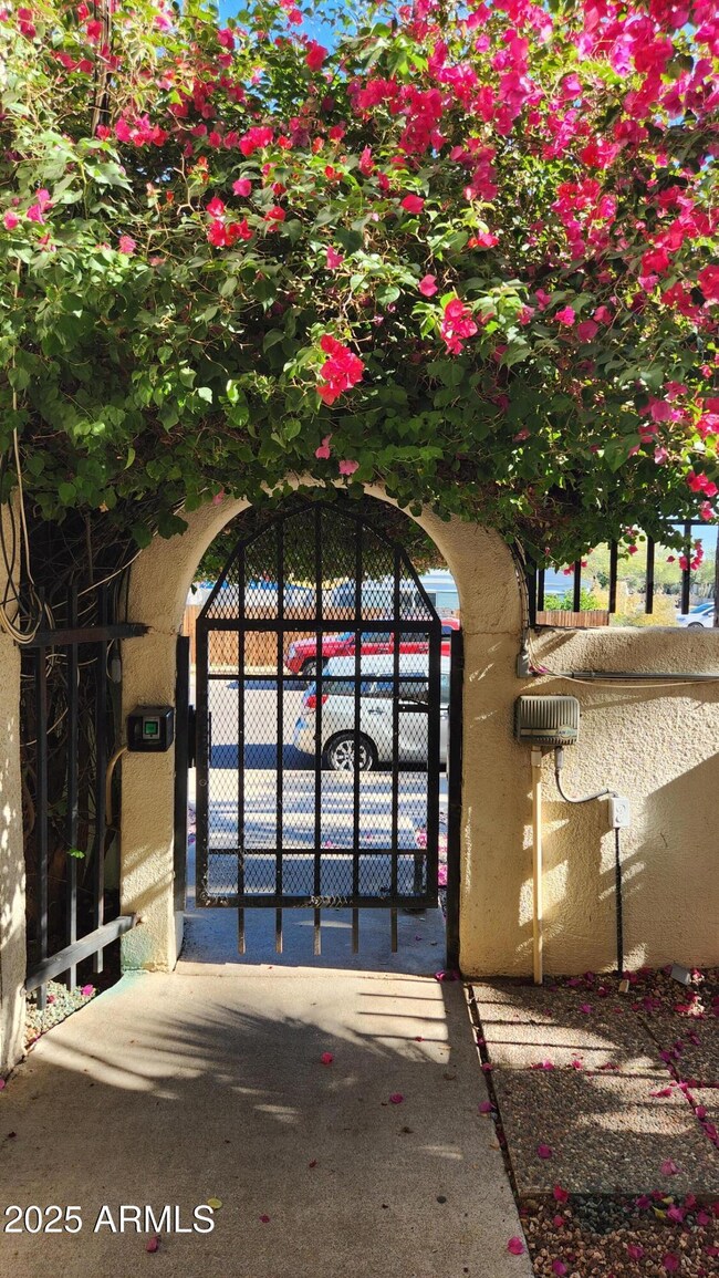 4330 N 5th Ave unit 105, Phoenix, AZ 85013 - photo 4