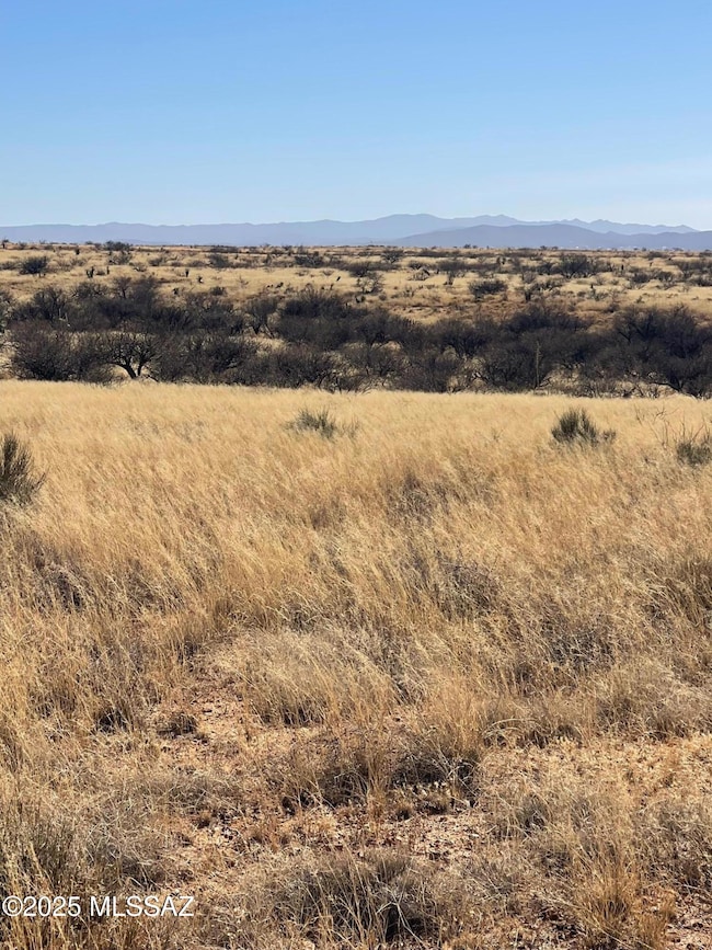 image1 - 2025-01-22T130716.370