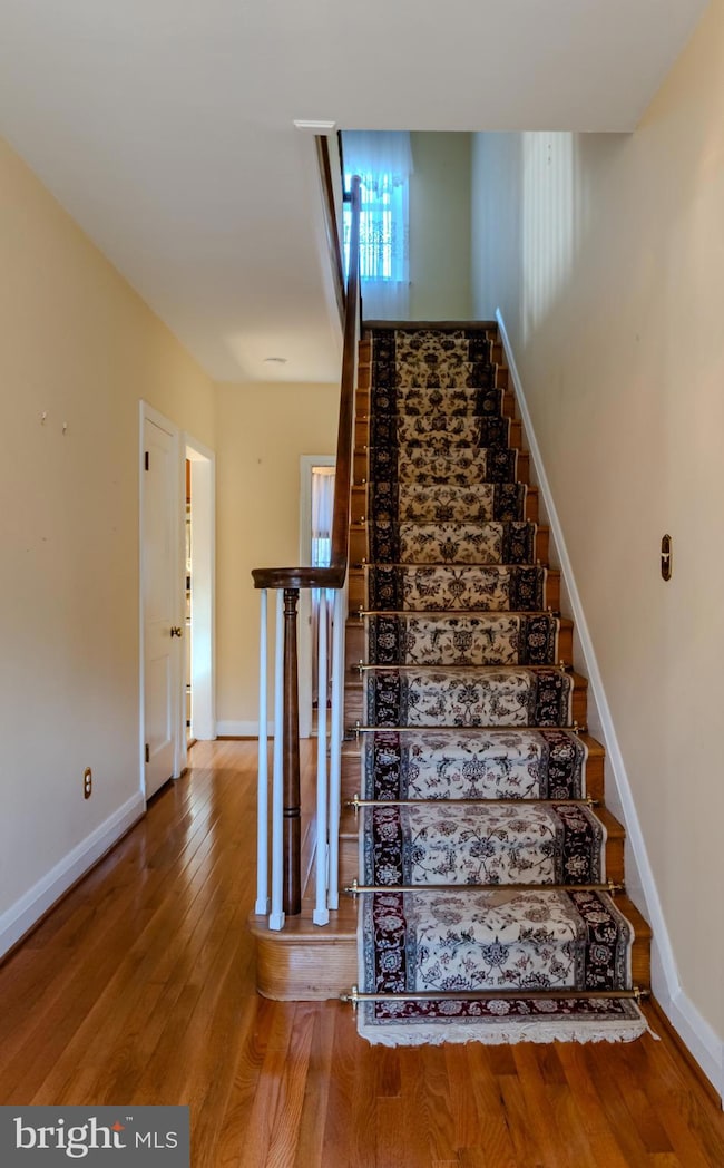 5510 N Charles St, Baltimore, MD 21210 - photo 5