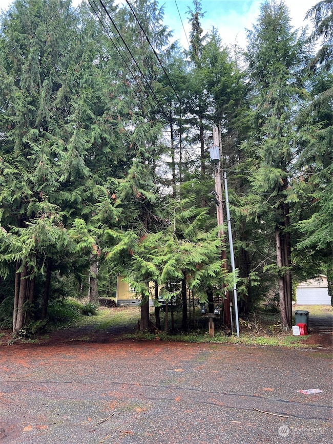 901 Ruby Valley Ct, Maple Falls, WA 98266 - photo 2