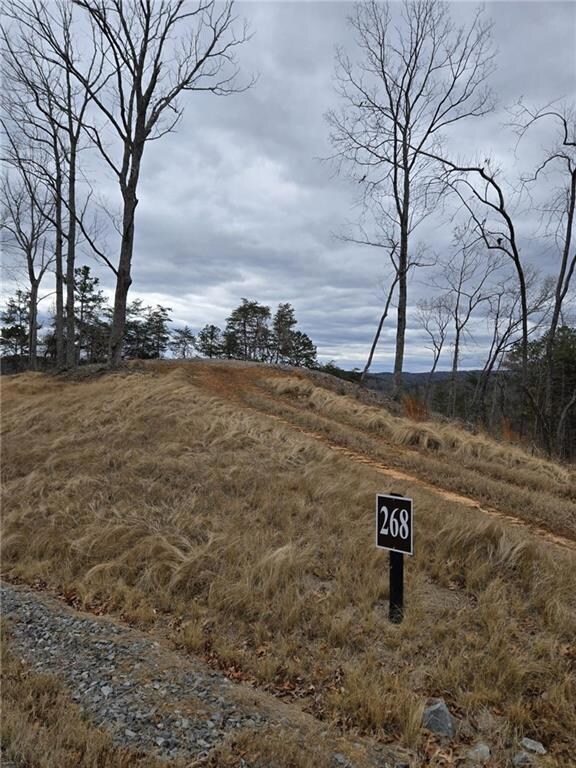 View of road