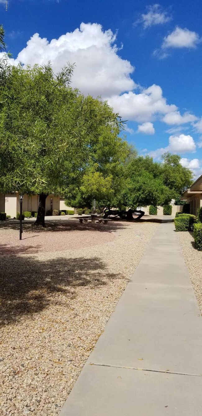 17403 N 105th Ave, Sun City, AZ 85373 - photo 4