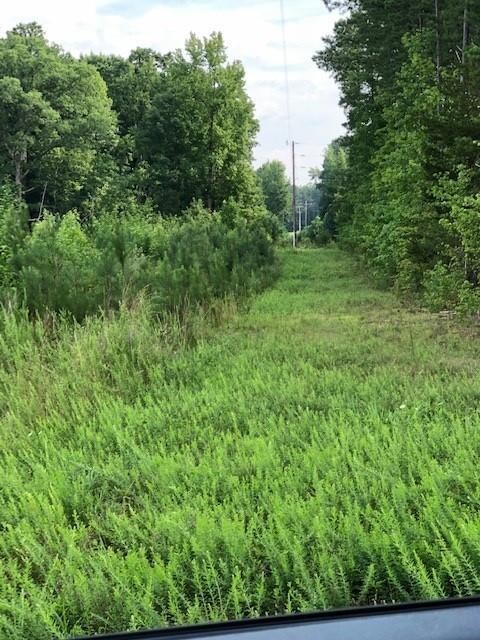 000 Shining Creek Rd, Alberta, VA 23821 - photo 6