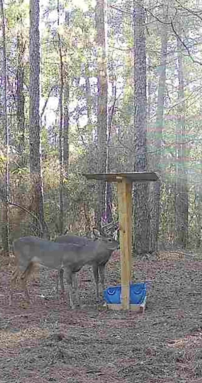 000 Breakfield Ln, Columbia, MS 39429 - photo 6